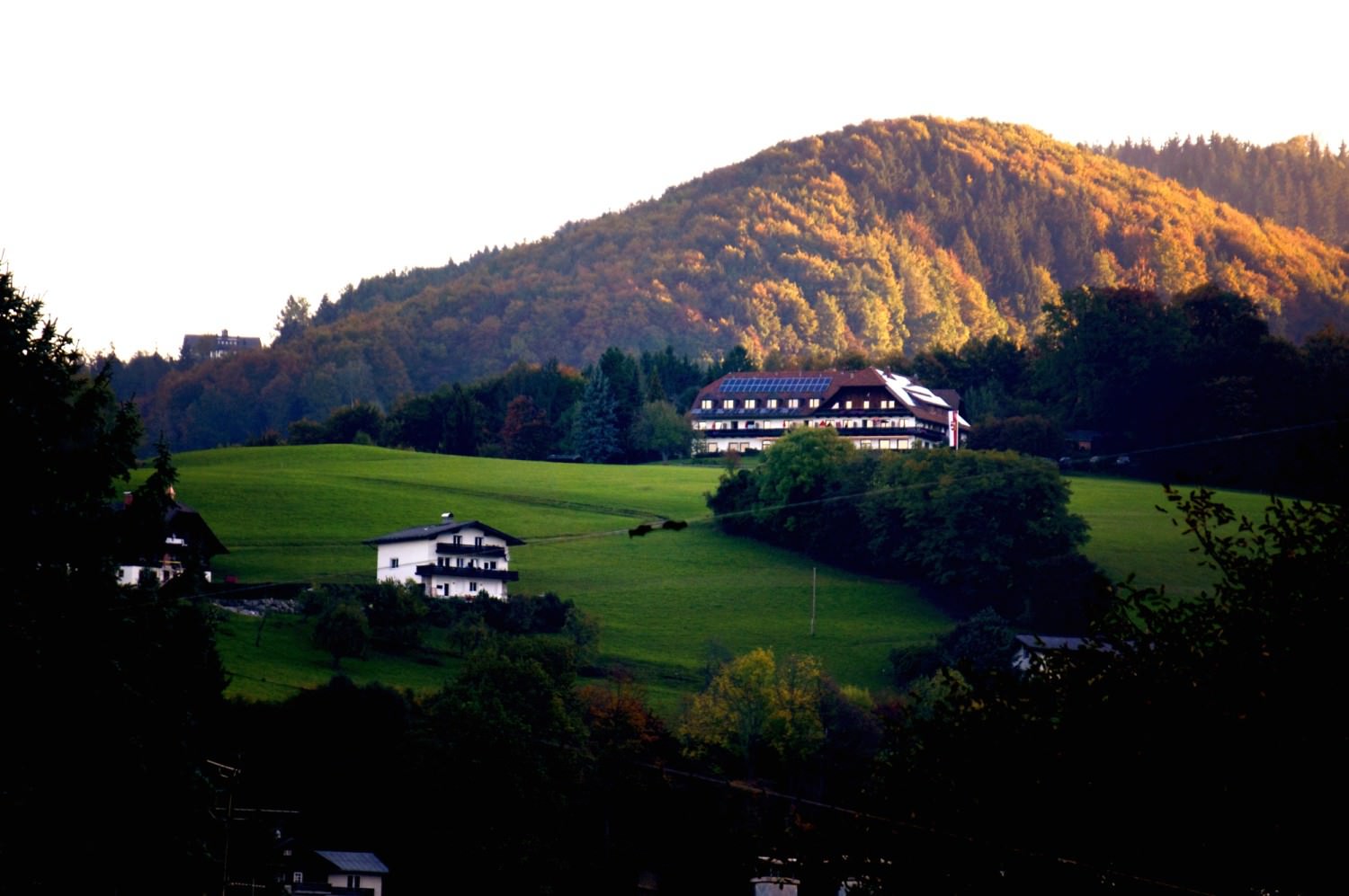 DSC03681_Fotor2_Fotor