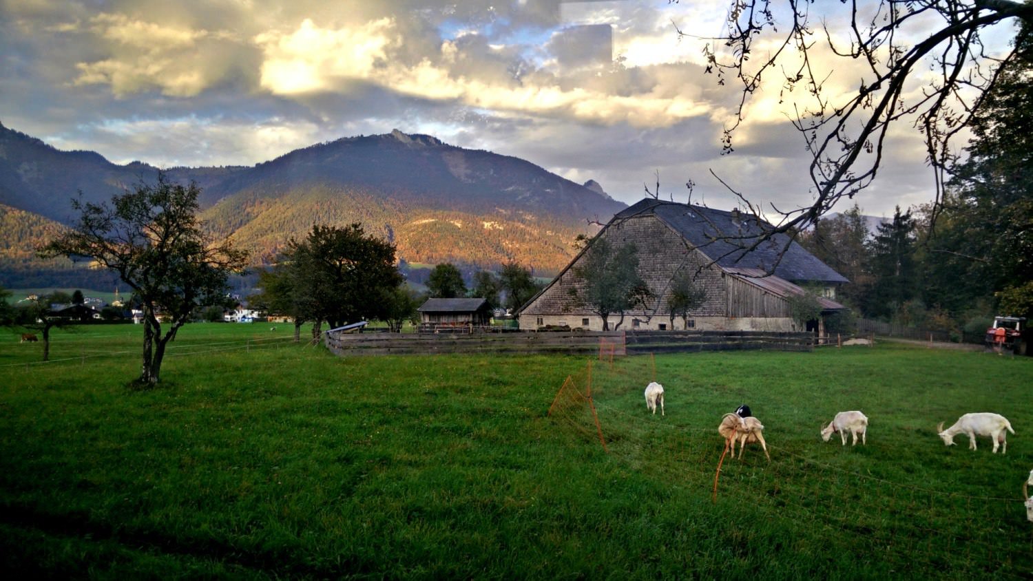 IMG20141010175251_Fotor