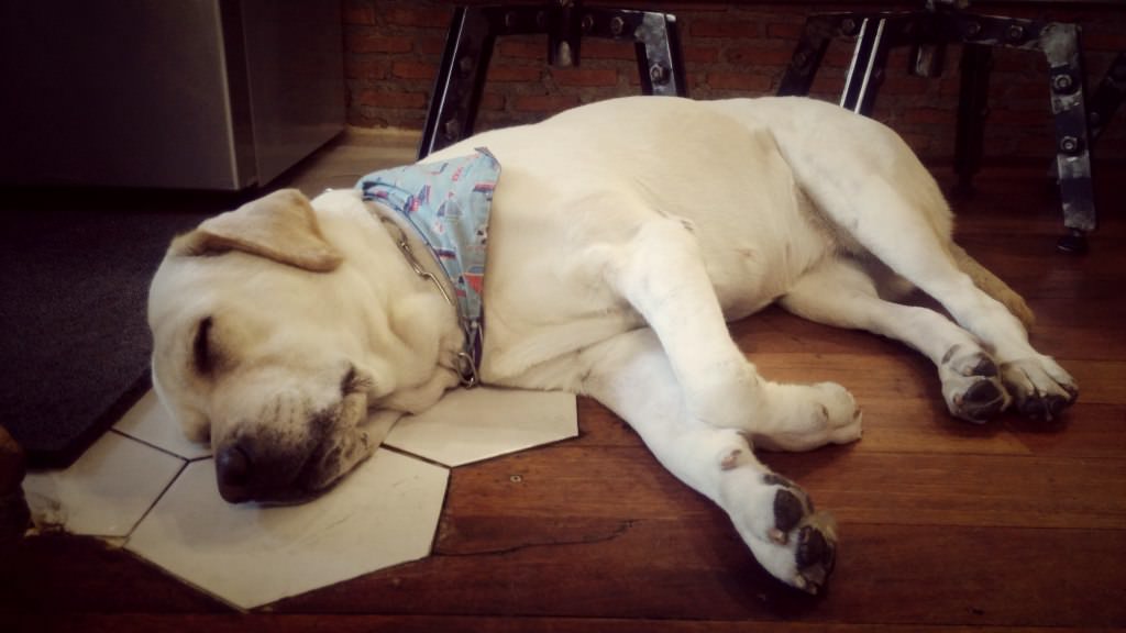 IMG20150726105816_Fotor