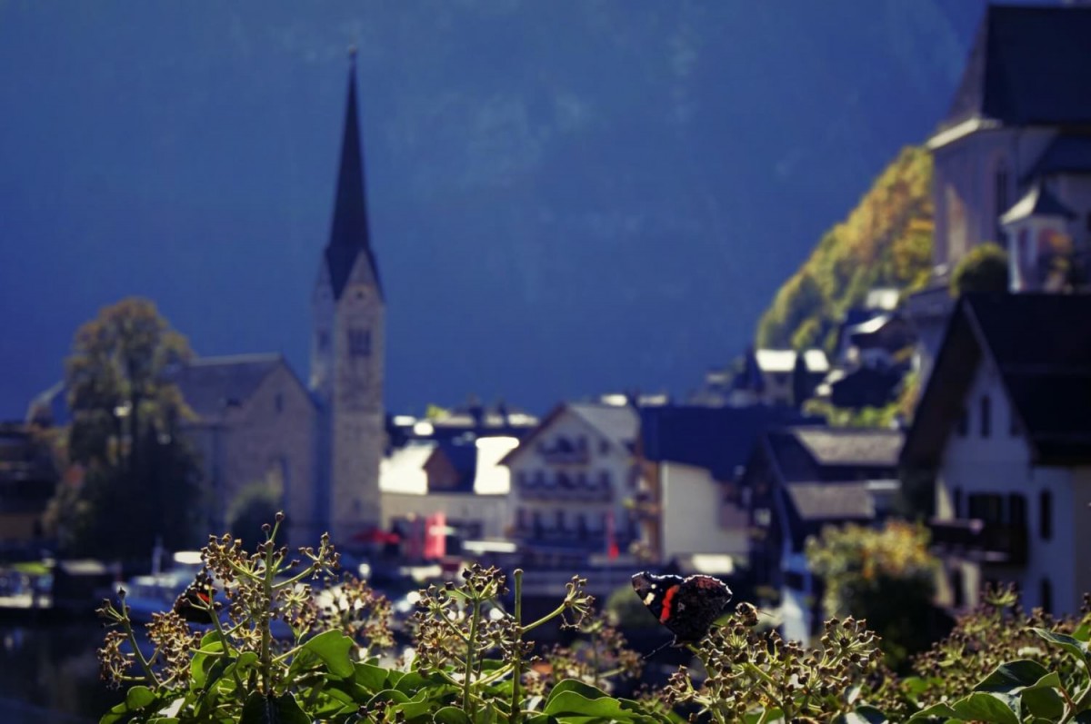 เที่ยวคนเดียว-hallstatt-austria-48