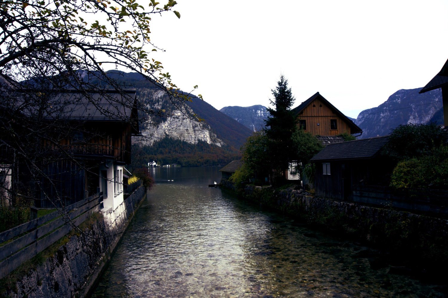 เที่ยวคนเดียว-hallstatt-austria-41
