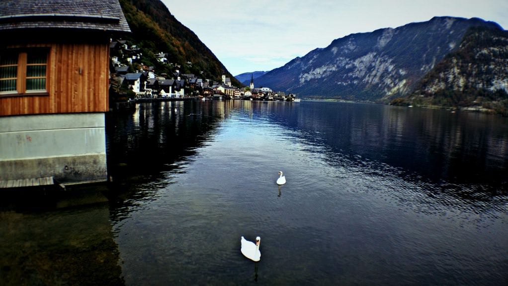 เที่ยวคนเดียว-hallstatt-austria-43
